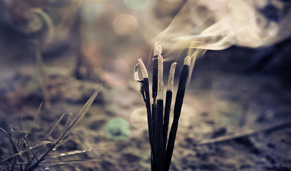 Scent and Brain Function - Connection between fragrances and our mind