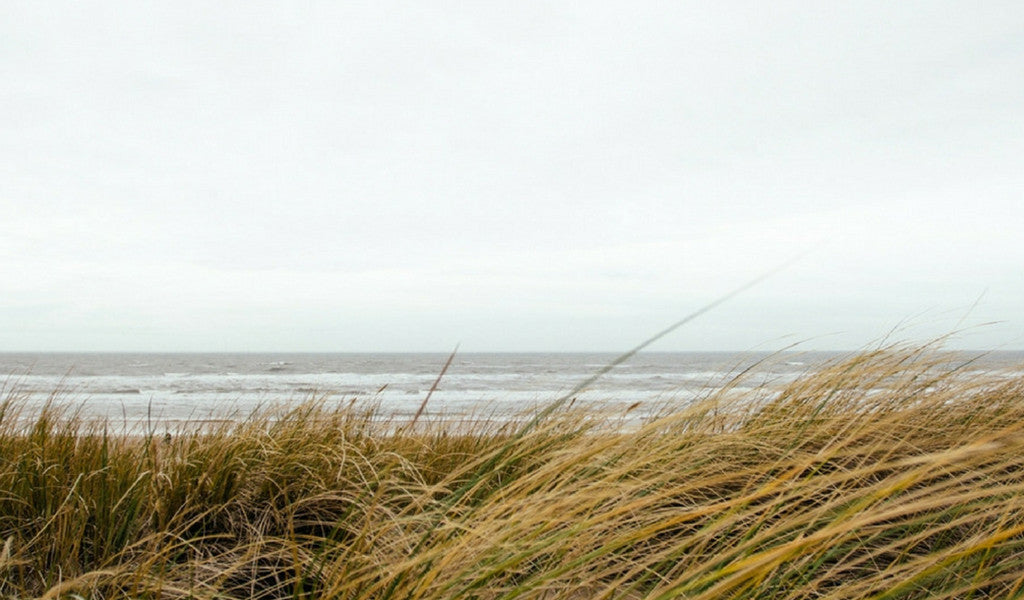 Water … The Great Purifier