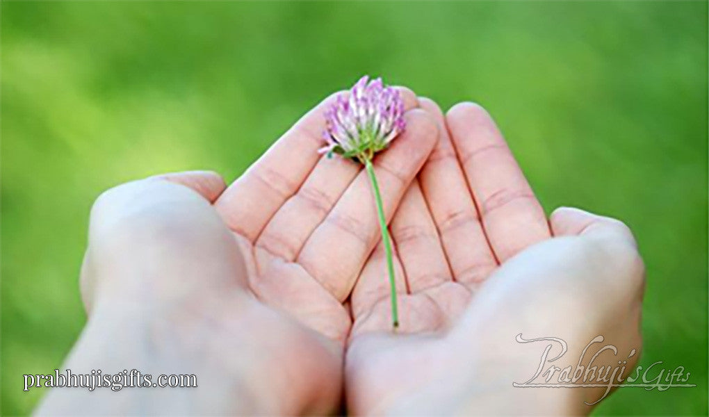 What's that verse on our Gokula Incense Sticks? Bhagavad Gita 9.26