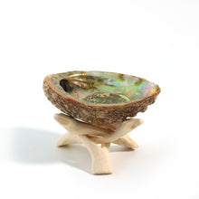 Tripod 4" Natural Eucalyptus Wood (fits Abalone shells 3-5")