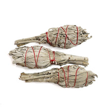 White Sage Smudge Stick - 3 Mini Bundles (4"-5")