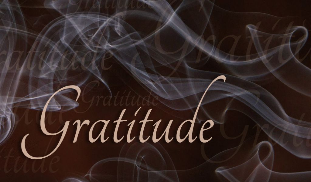 November: A Month of Thanks and Gratitude