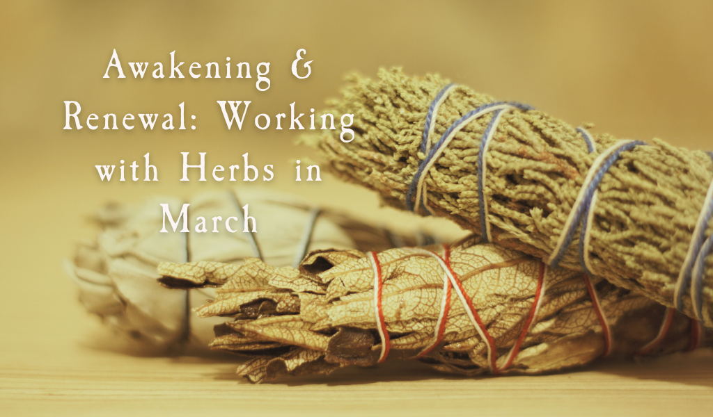 Awakening & Renewal: Working with Herbs in March