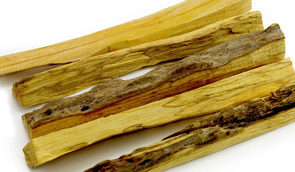 The Gold of Palo Santo