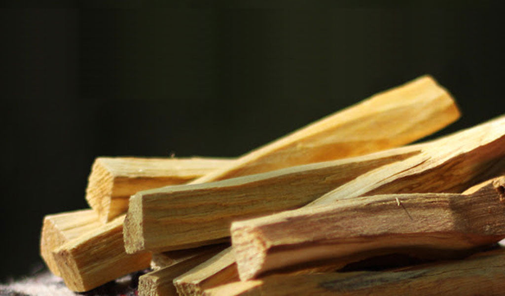 11 things you never knew about Palo Santo