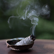 Prabhuji's Gifts Mini Sage and Abalone