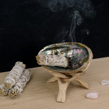 Prabhuji's Gifts Mini Sage and Abalone model
