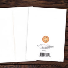 602-12 - Greeting Card - Prabhuji's quote - 'If you seek the Truth...' - 7"x5" 