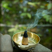 Kit - Palo Santo Wild Herbs Cones with Burner